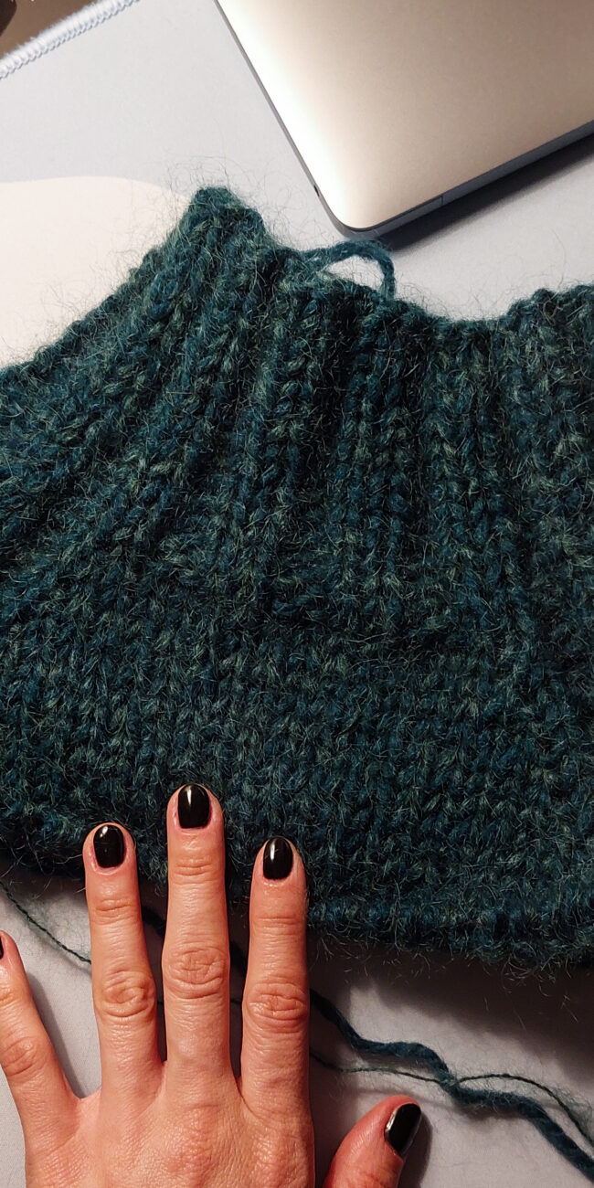 image of the knitted 2 x2 rib turtleneck